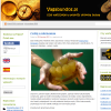 Vagabundos - blog PlanyNaWakacje Vagabundos - blog PlanyNaWakacje