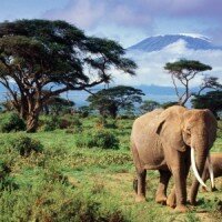 KENIA – zaplanuj wyjazd do serca Afryki od A do Z