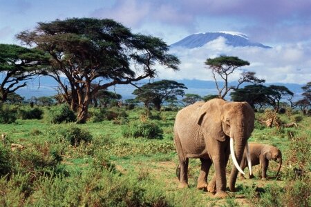 safari KENIA   zaplanuj wyjazd od A do Z